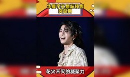 明星娱乐热点,盘点近期娱乐圈热点事件